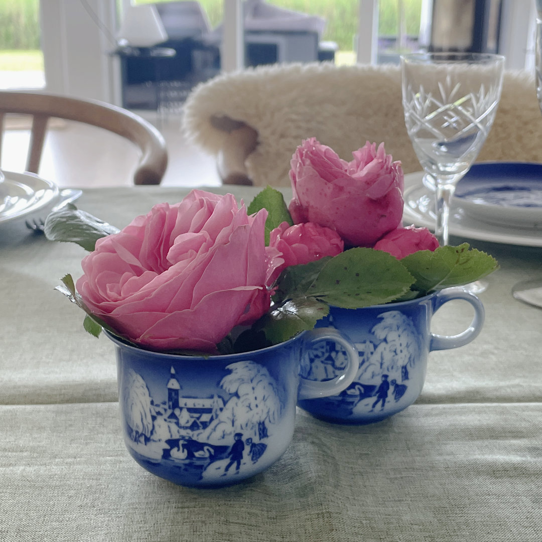Desiree Jahresbecher verwendet für kleine Blumen