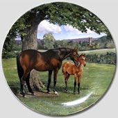 Tier Vogel Jagd Teller