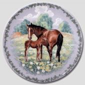 RC - Kinder der Natur