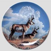 Dominion Teller - Wild und Frei  