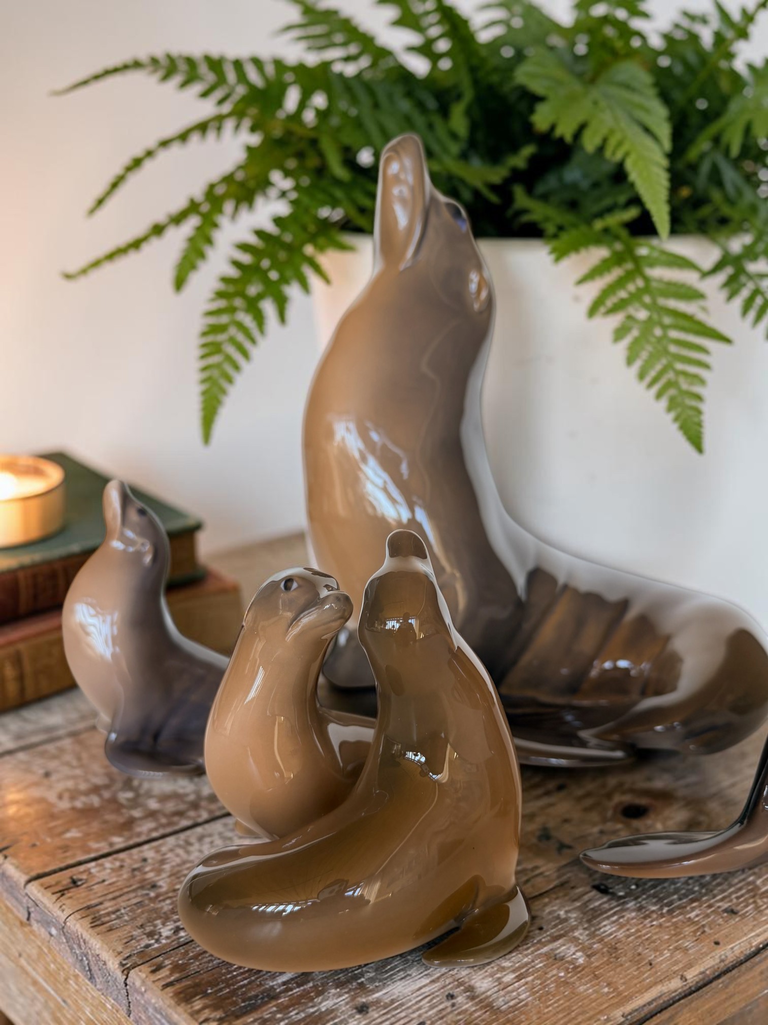 Zwei Seelöwen, Royal Copenhagen Figur Nr. 2519